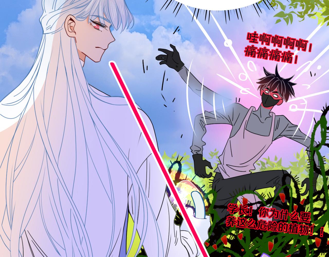 第31话俄狄浦斯小小花75