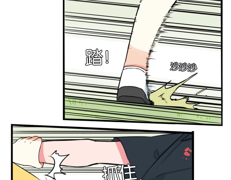第217话 偶像选拔篇2763