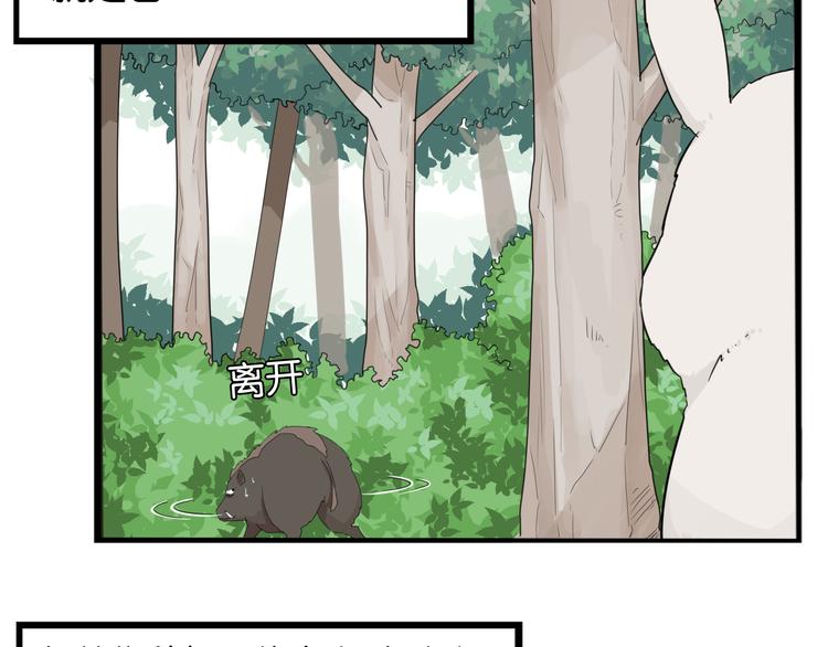 第216话 偶像选拔篇267