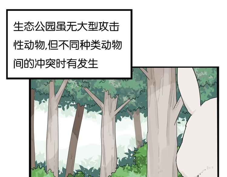 第216话 偶像选拔篇264
