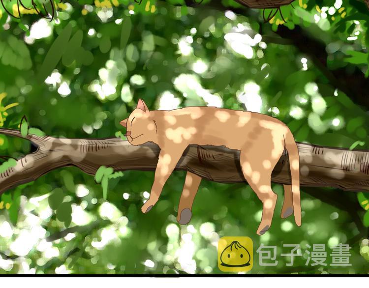 第47话 晒太阳就会死38