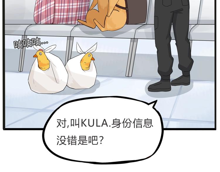 停更小番外【kula办证记】26