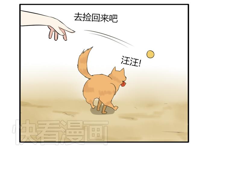 第47话 晒太阳就会死47