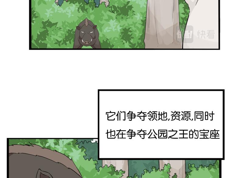 第216话 偶像选拔篇265