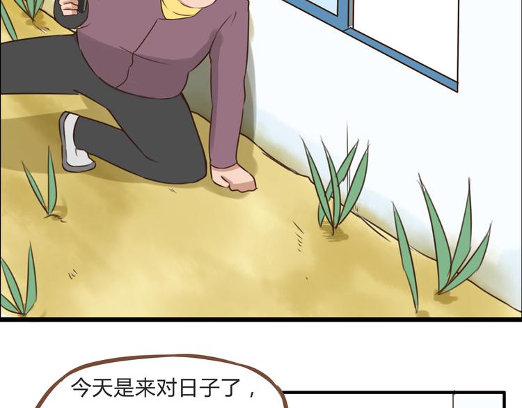 第62话 就怕猪队友1
