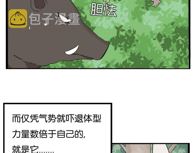 第216话 偶像选拔篇266