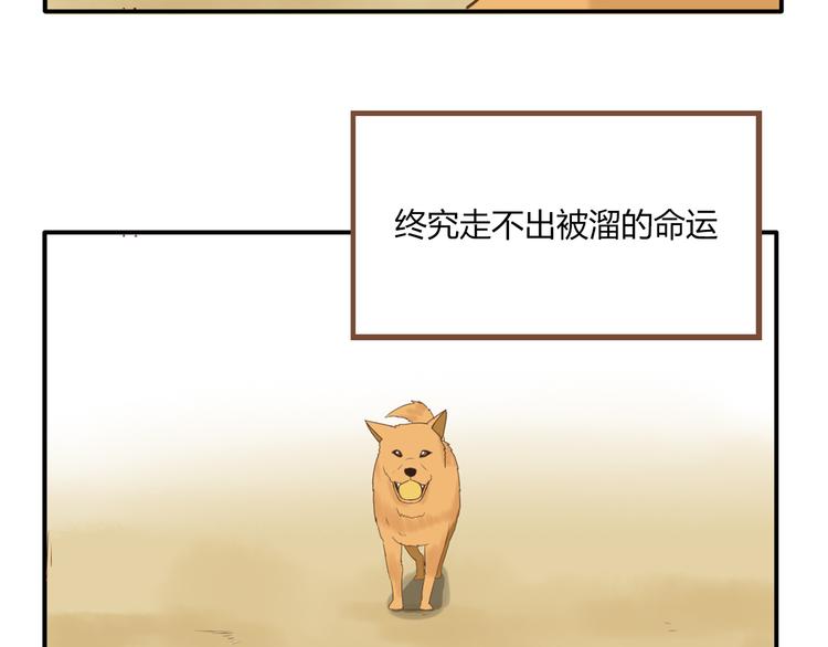 第47话 晒太阳就会死51