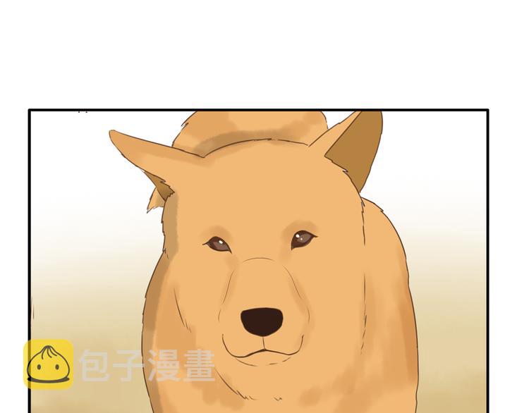 第47话 晒太阳就会死54