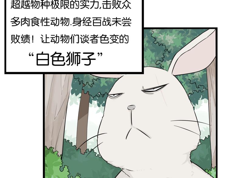第216话 偶像选拔篇268