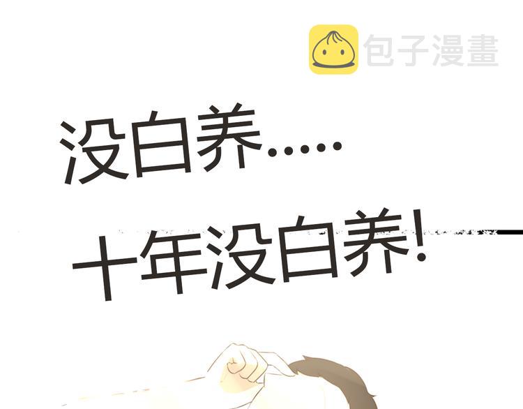 第53话 选女婿46
