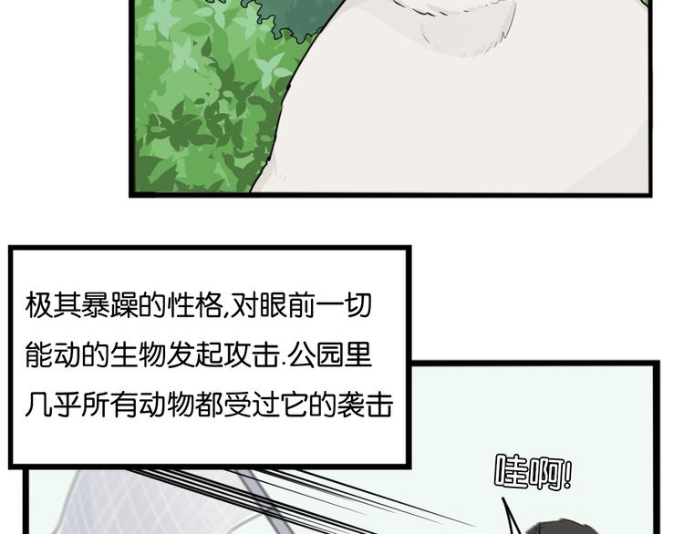 第216话 偶像选拔篇269