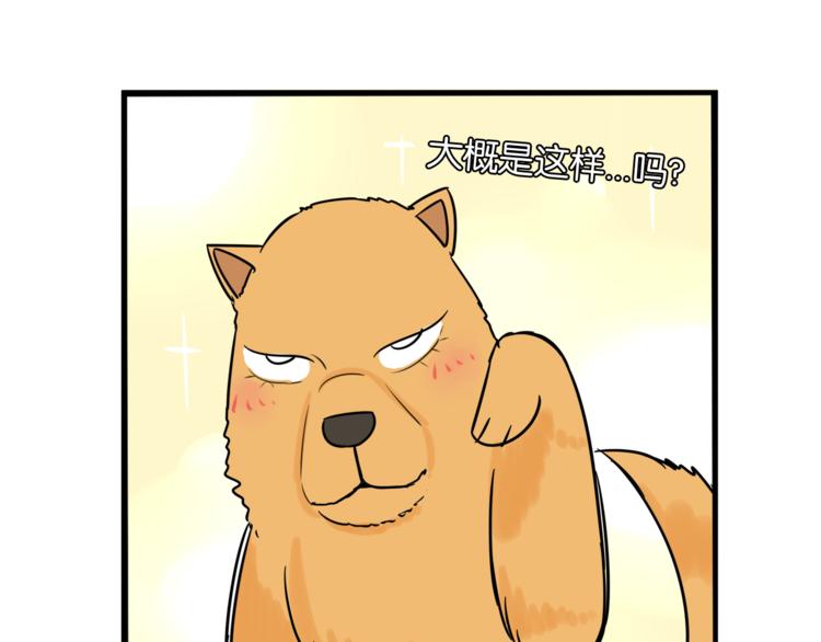 第198话 偶像选拔篇867