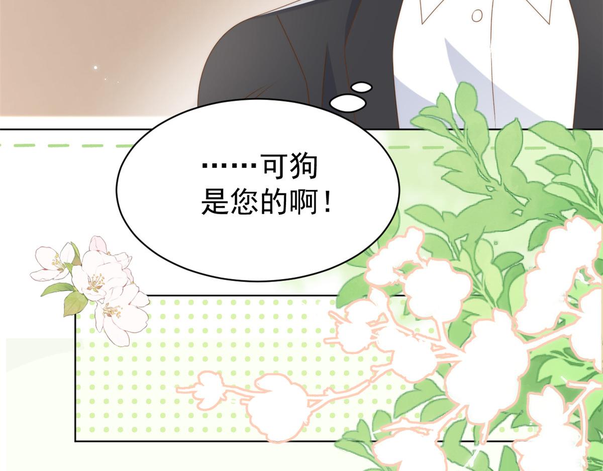 第186话 这一定是命中注定！81