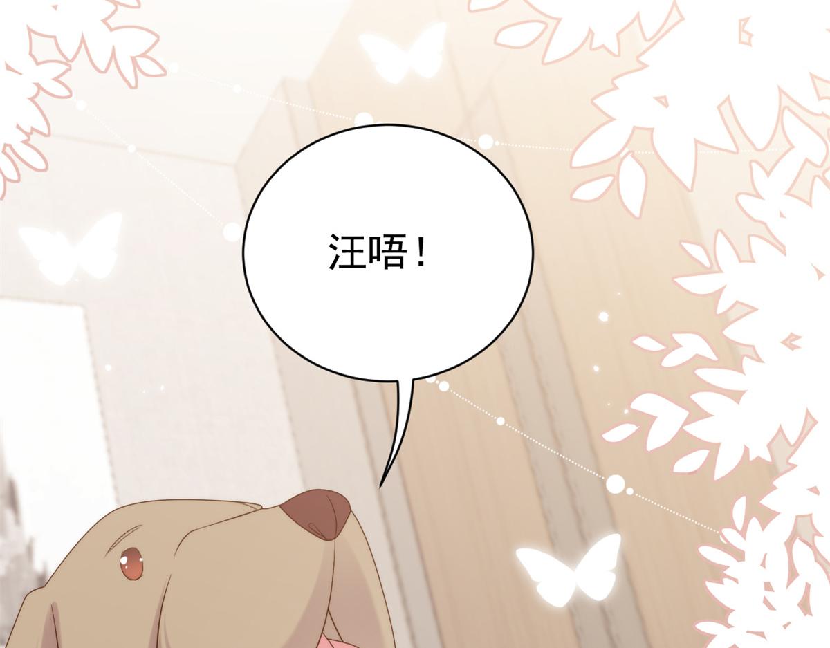 第113话 獒犬地瓜100