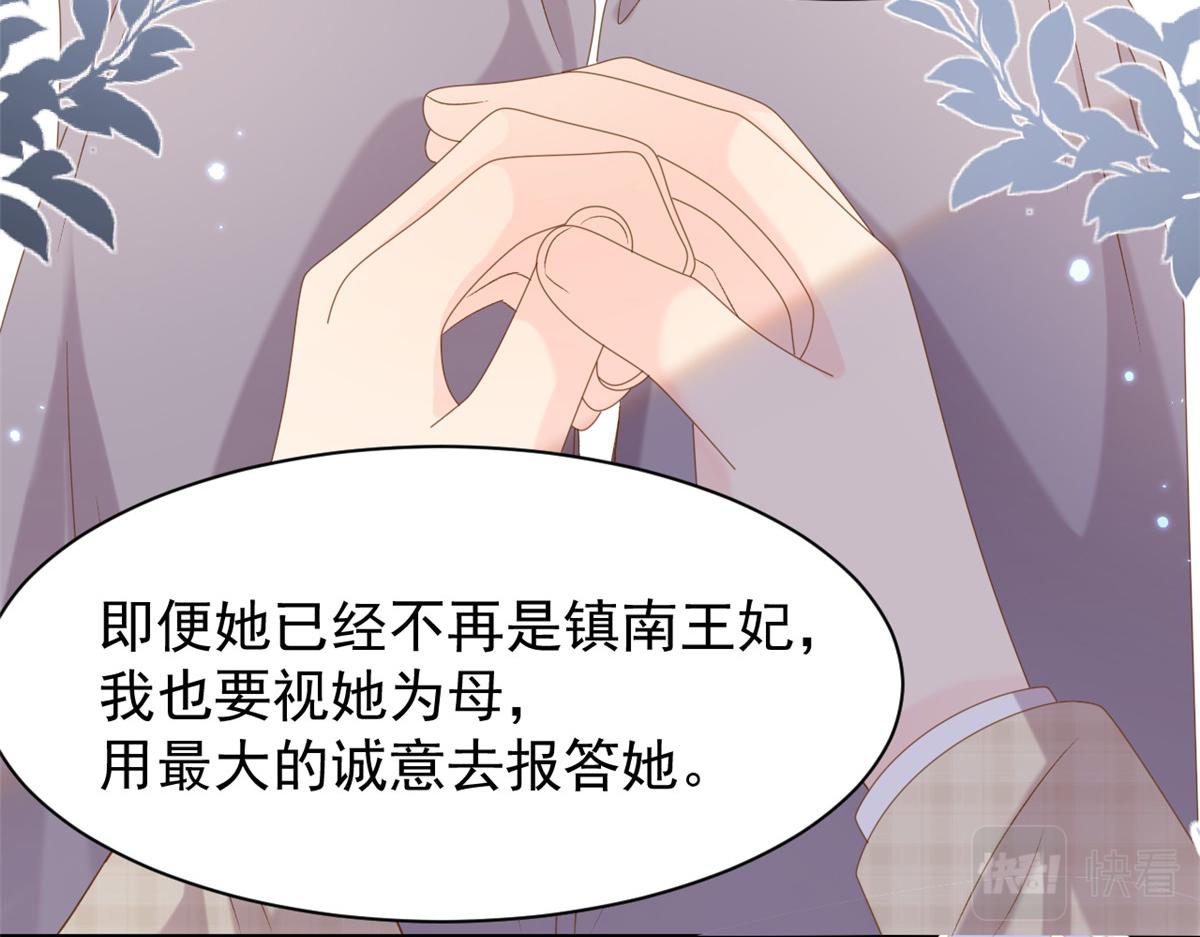 第141话 传说中的镇南王妃58