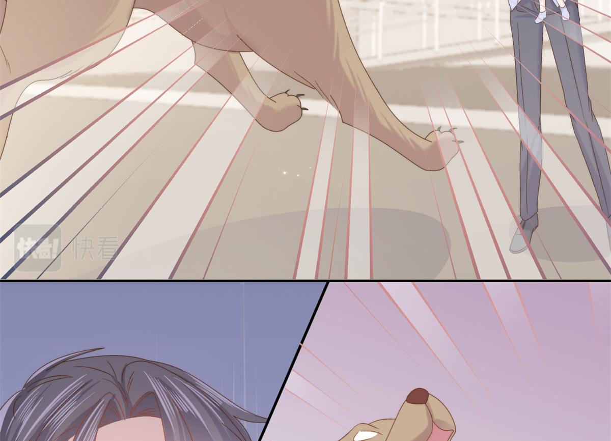 第113话 獒犬地瓜30