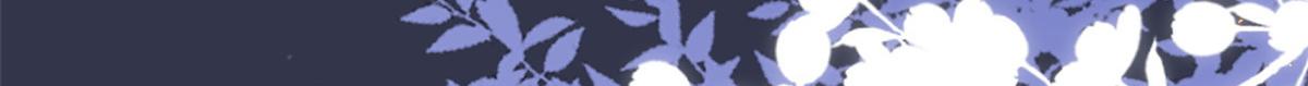 第170话你威胁我？73