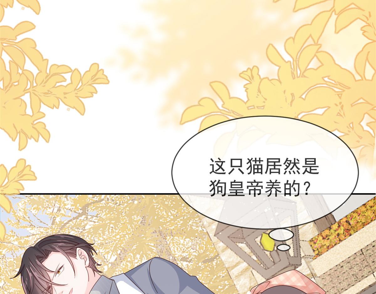 第132话 色小子在想什么！15
