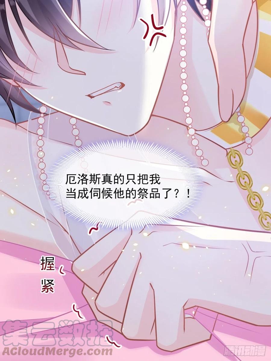 062 自投罗网45