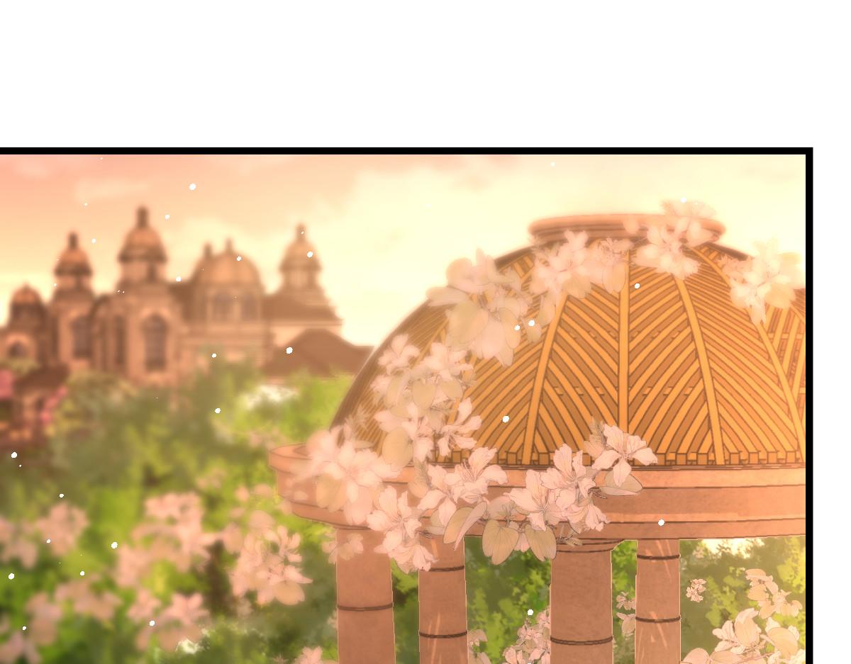 161祁湛的魔法属性？？41