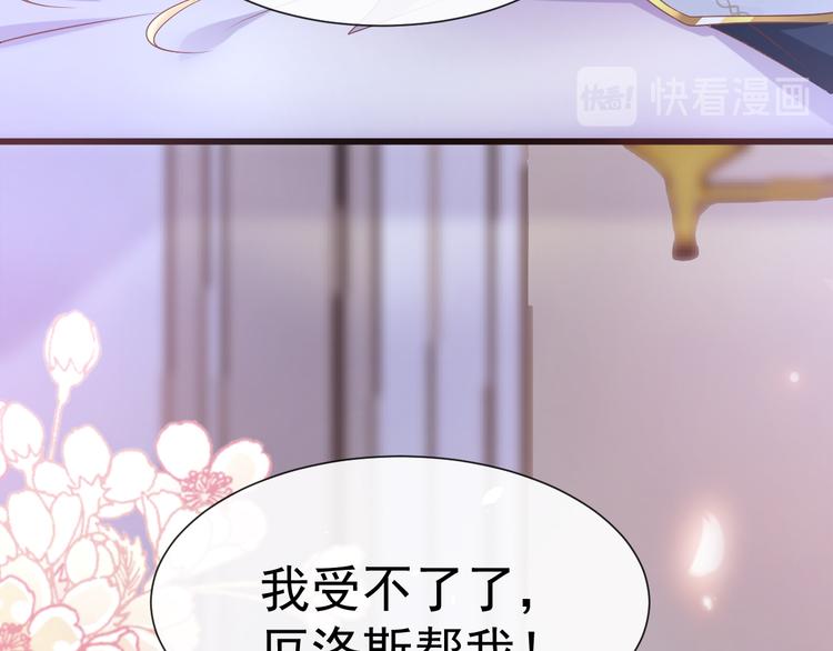 026  果实扎根40
