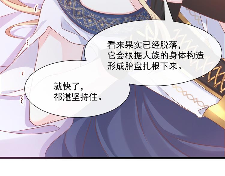 026  果实扎根34