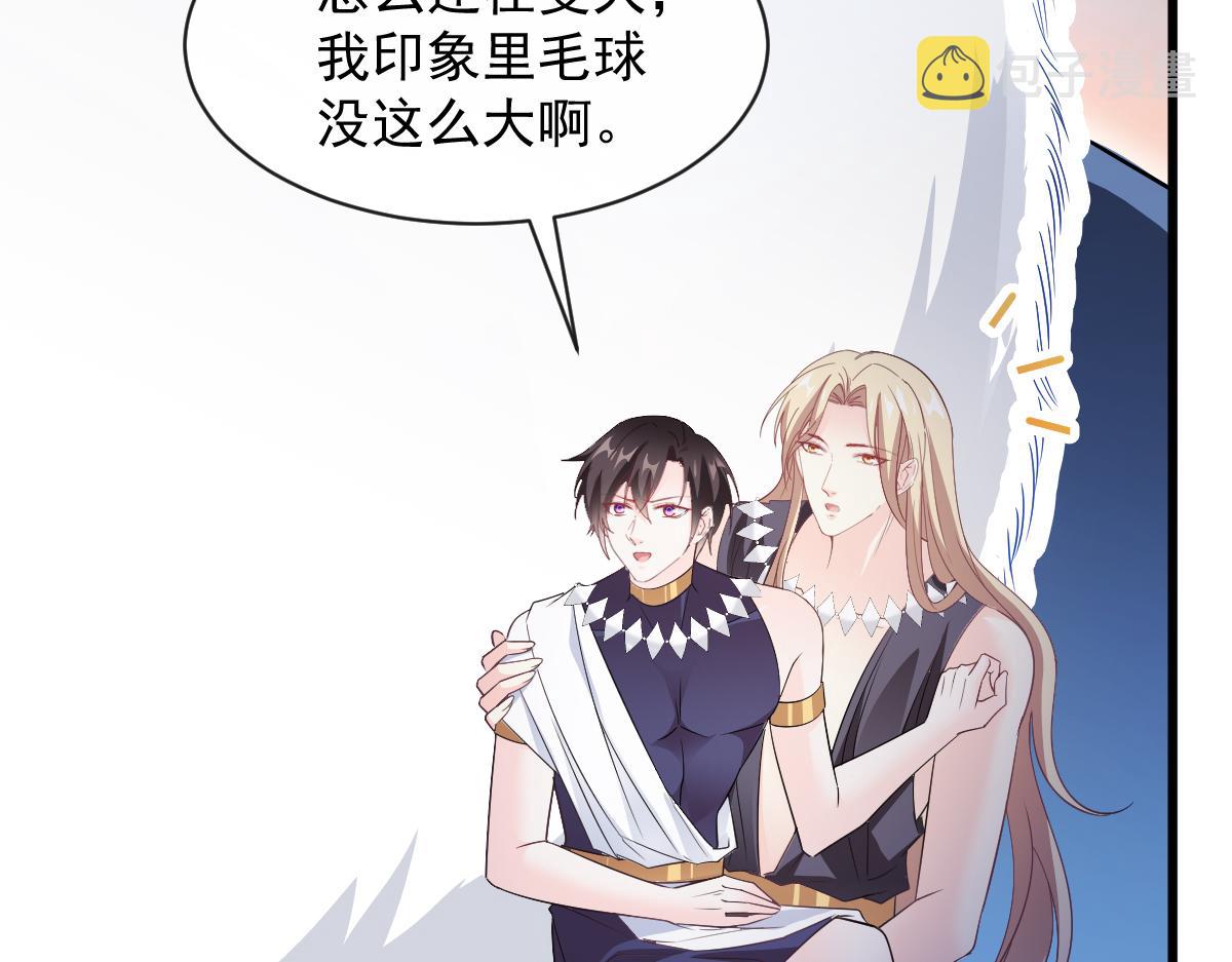 116 毛球蹦迪床57