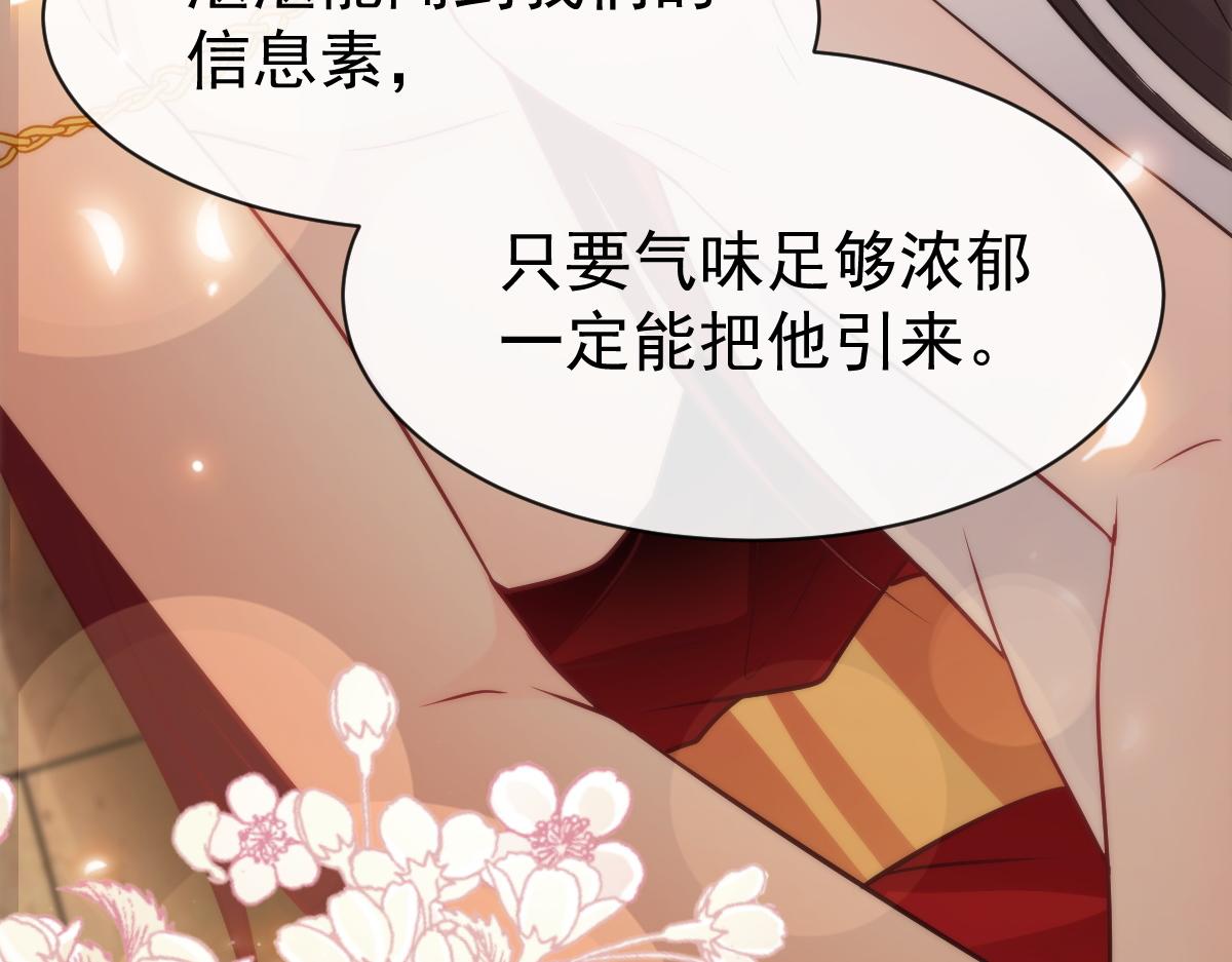 113 祁湛的机会7