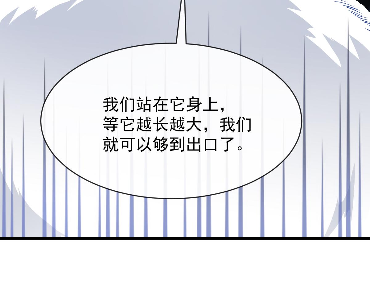 116 毛球蹦迪床63