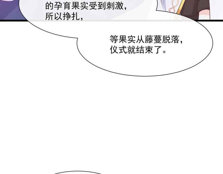 026  果实扎根27