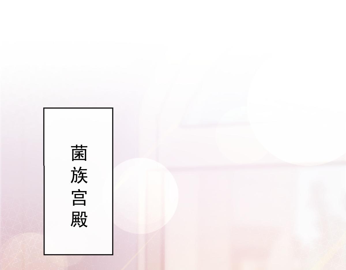 102 总裁的新娘41