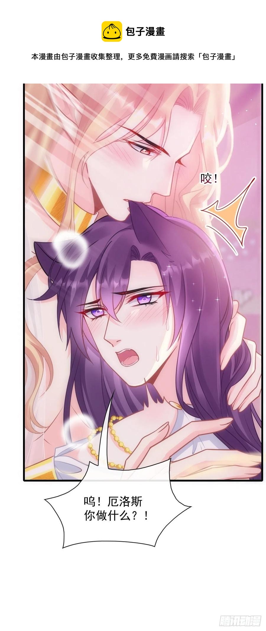 072 犬香23