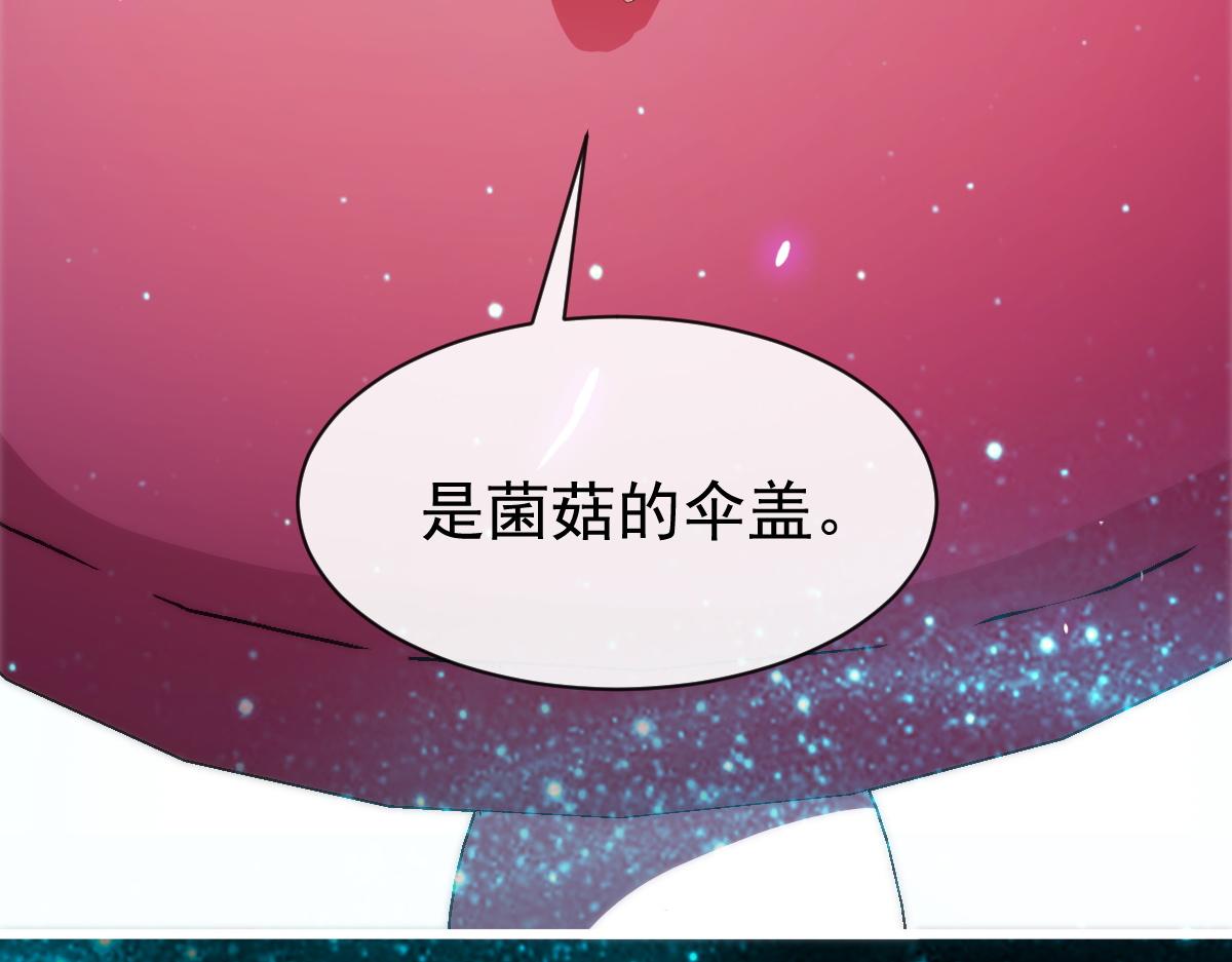 113 祁湛的机会67