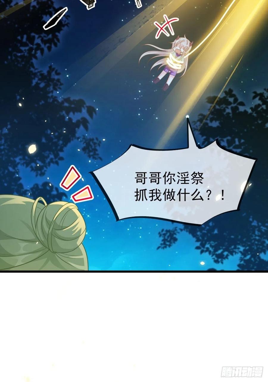 062 自投罗网67