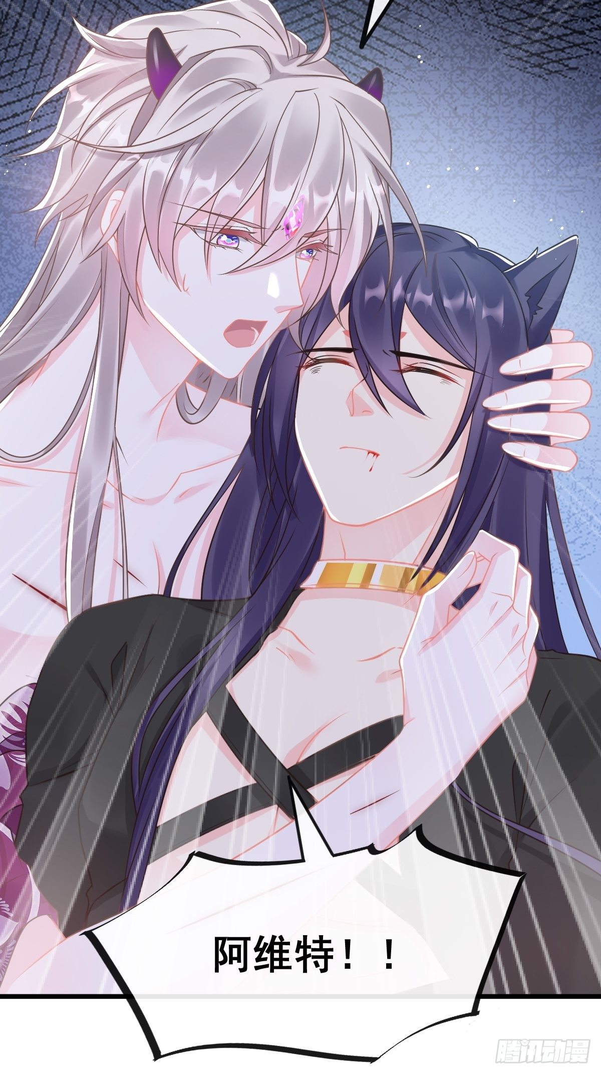 028 新生命40