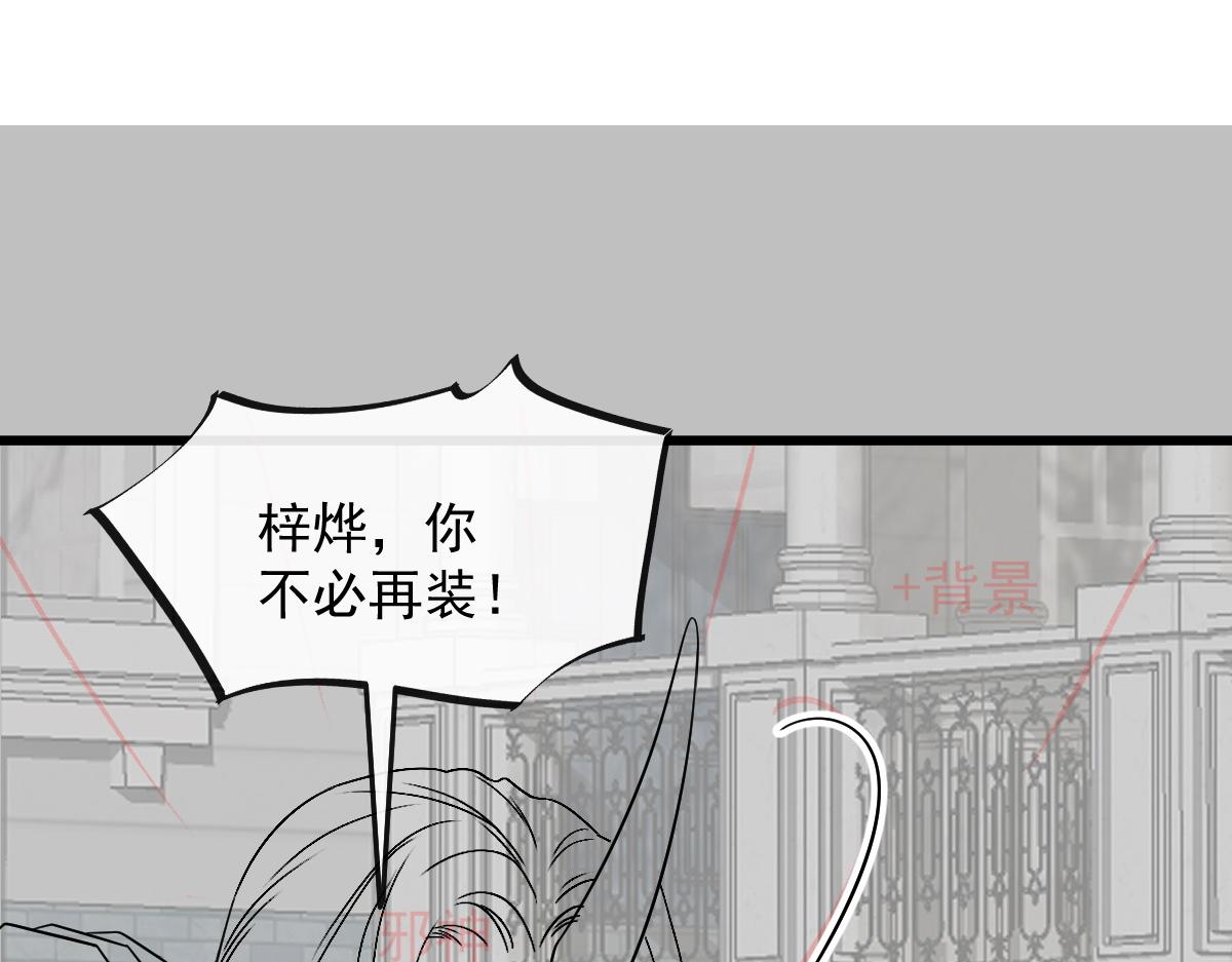 102 总裁的新娘94