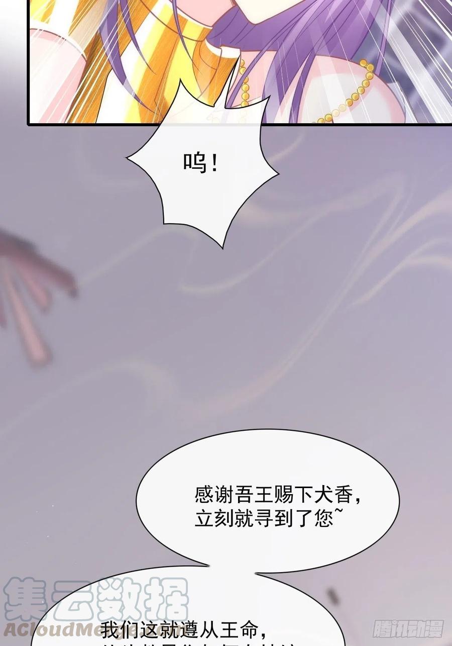 072 犬香12