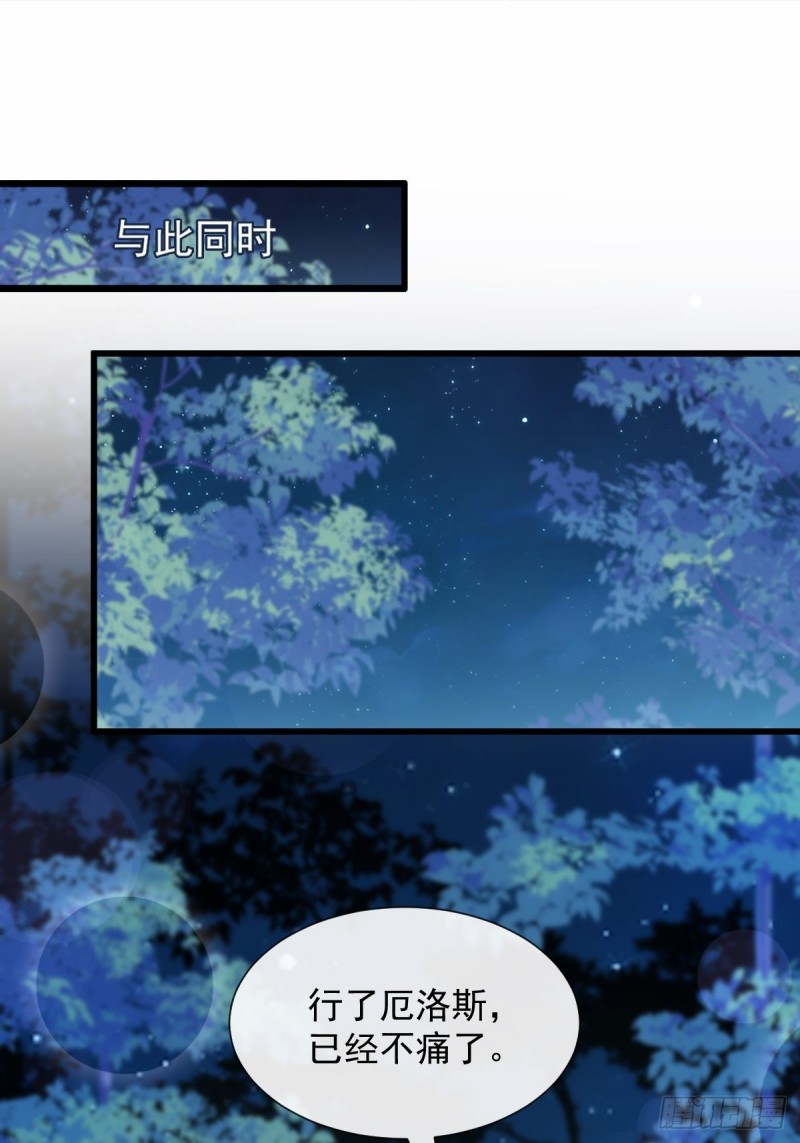 052 上药19