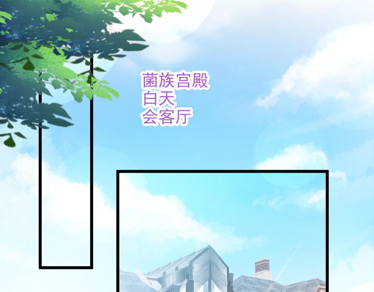 113 祁湛的机会14