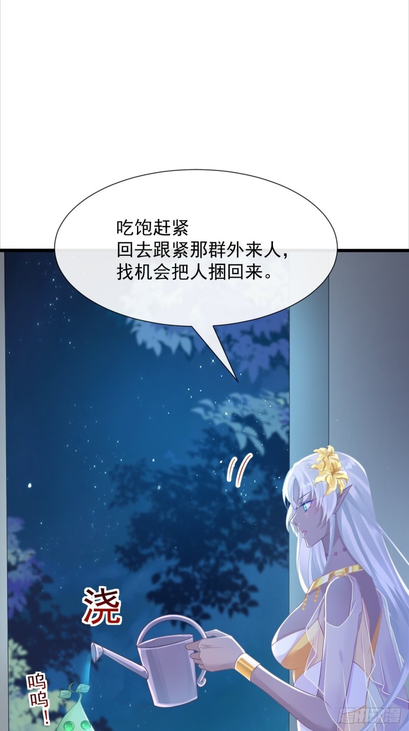 052 上药13