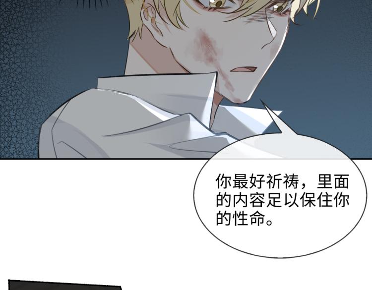 第41话 暗处的守护46