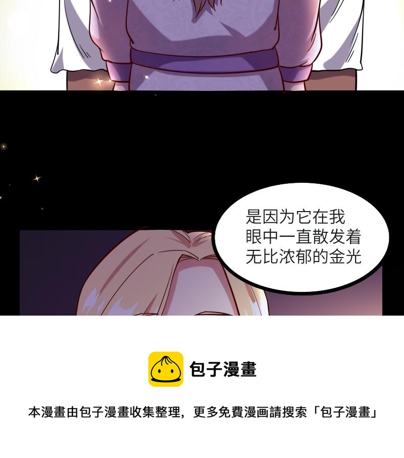 第45话 不为人知的身份70
