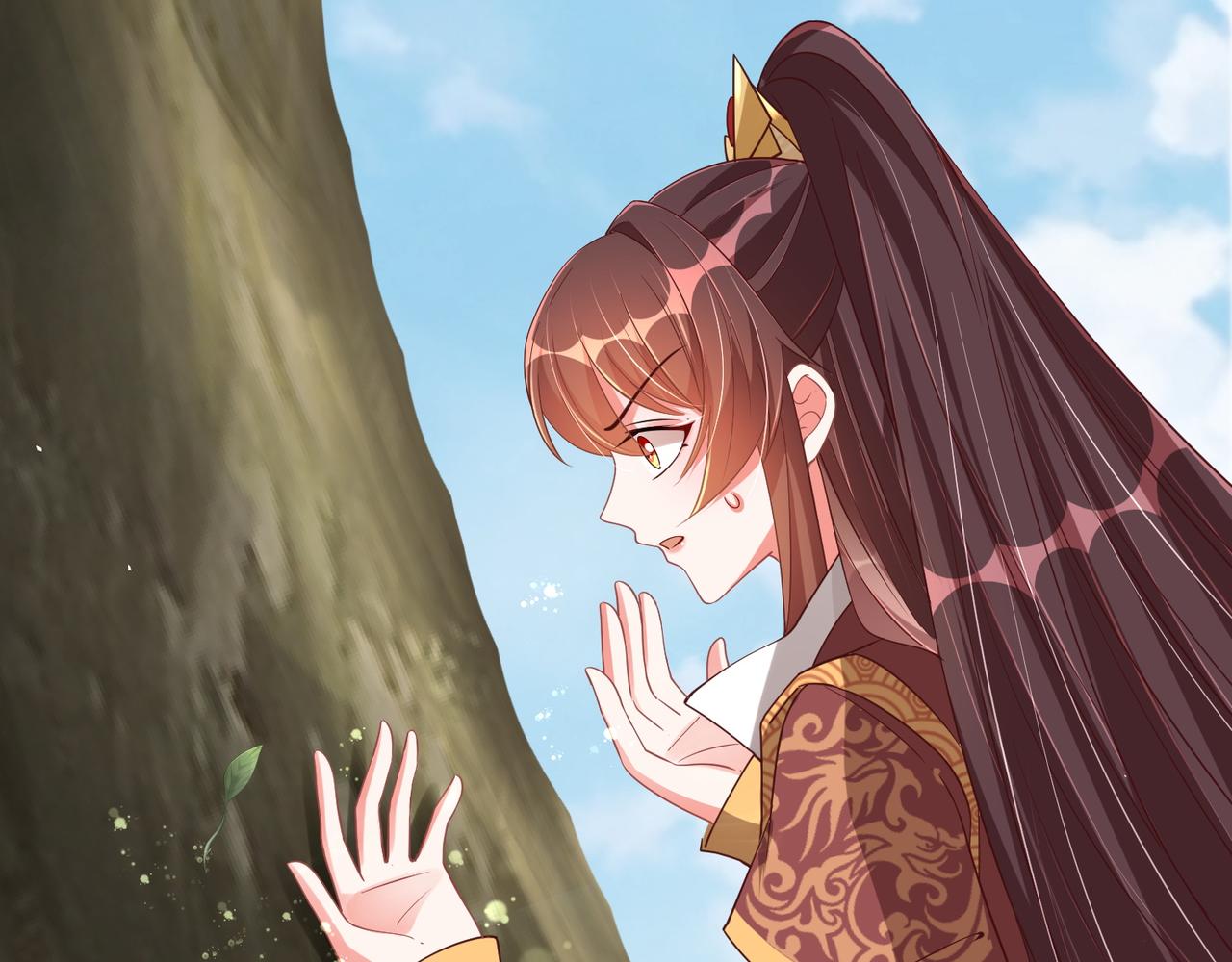第104话  神机妙算36