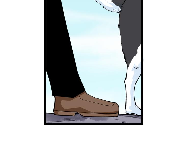 第159话 灵犬灵犬19