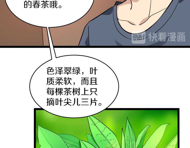 第142话 极品铁观音43