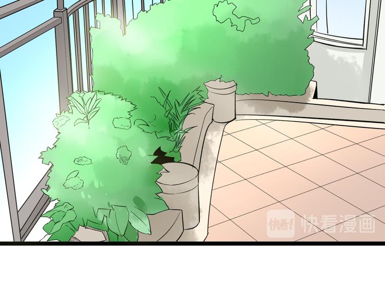 第150话 艳阳花开78