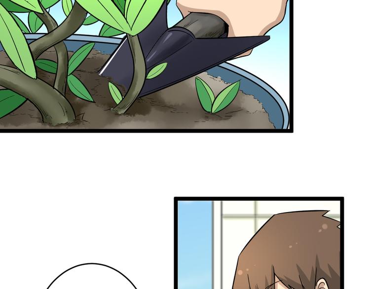 第151话 稀世灵花88