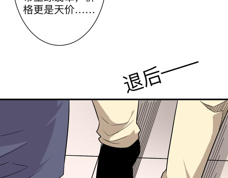 第231话 极品翡翠22