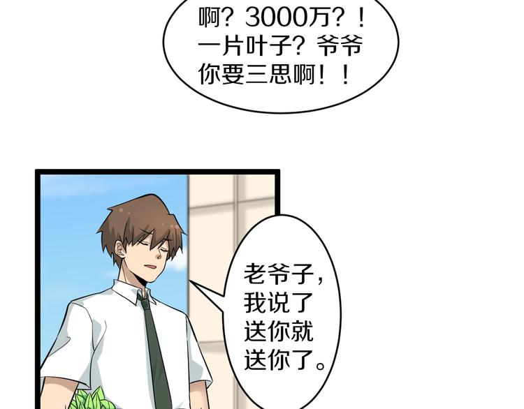 第152话 3000万的叶子21
