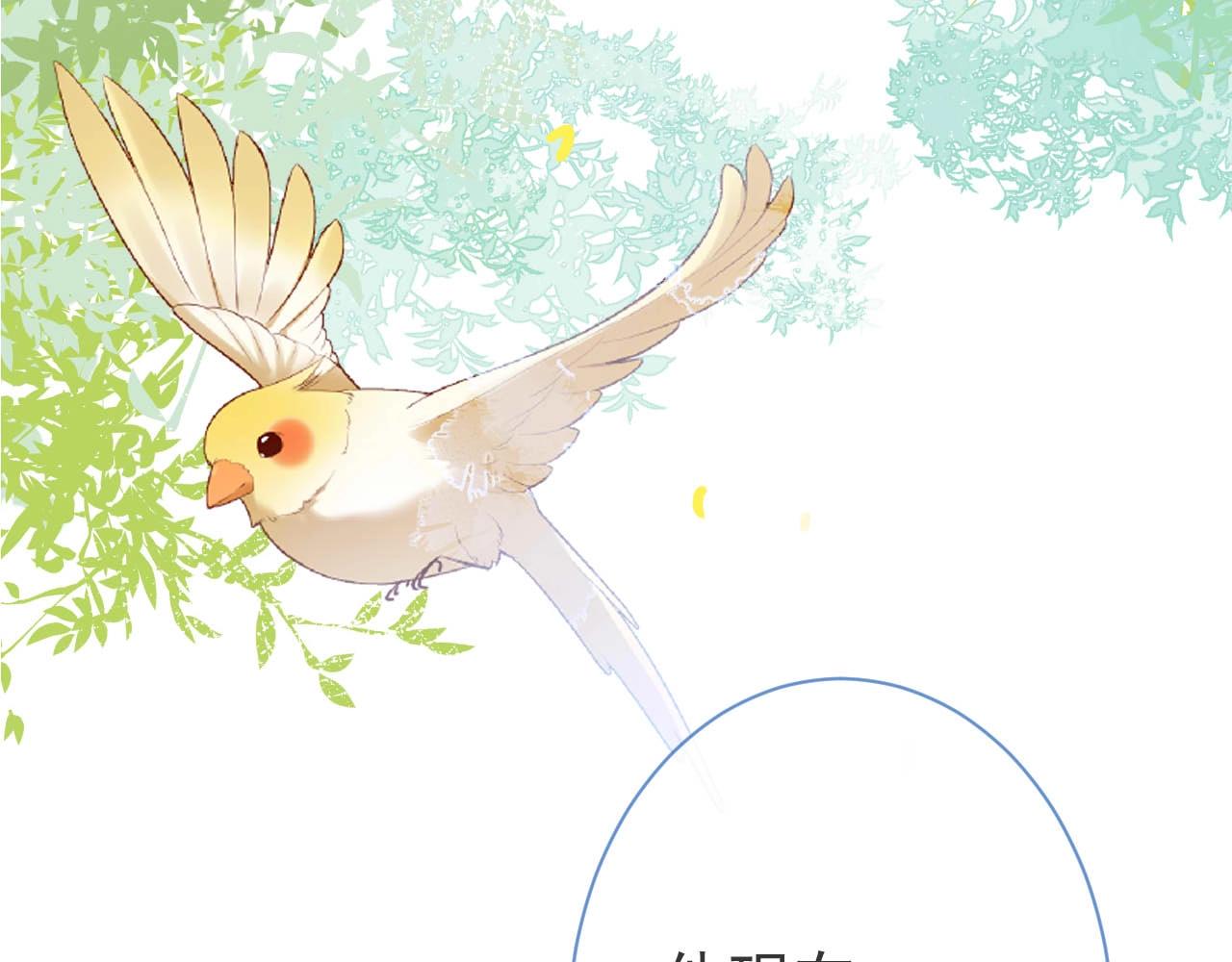 第1话 哥哥，你要怎么补偿我？82